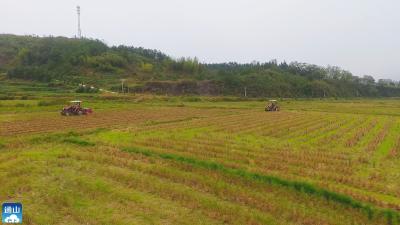 云上咸宁——金秋农事忙！油菜领唱通山秋播重头戏