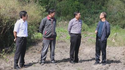 长江云——通山县农业农村局：在田间地头忙着“我为群众办实事”