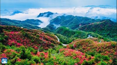 通山县大幕山林场获“中国森林康养林场”
