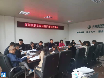 厦铺镇举行扶贫项目资产登记培训会