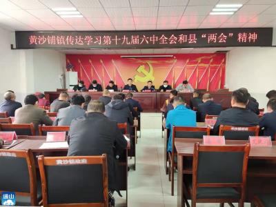 黄沙铺镇传达学习党的十九届六中全会精神