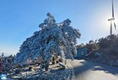 云上咸宁——组图 | 九宫山雾凇景观挂枝头