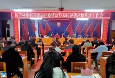 杨芳林乡：精准务实高效抓好疫情防控工作