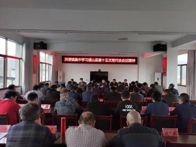 【贯彻落实党代会精神】洪港镇集中学习 通山县第十五次党代会会议精神
