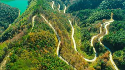 云上咸宁——通山长林山：山路弯弯静  冬色浓浓红