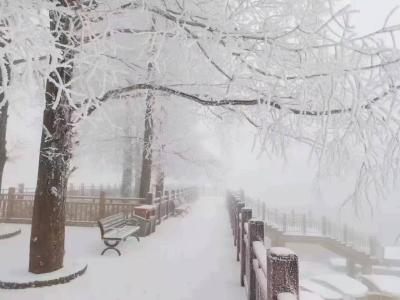 【图文】美得惊人！九宫山迎来今冬第一场雪