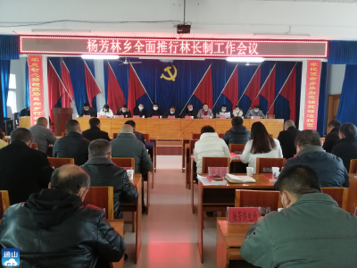 杨芳林乡：夯实工作  砥砺前行