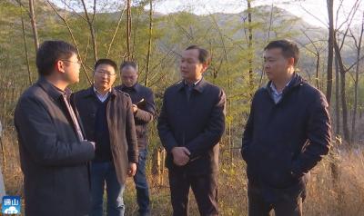 V视丨县领导到南林桥镇开展林长制巡林工作