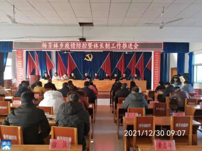 杨芳林乡：召开疫情防控暨林长制等重点工作推进会