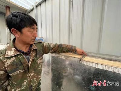 青海门源6.9级地震：张掖市近1.5万人受灾，预计财产损失上亿元 