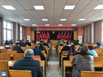 通羊镇：贯彻落实市第六次党代会精神  奋力谱写现代化建设新篇章