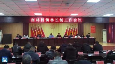 南林桥镇：推深做实林长制  共护那抹“绿”