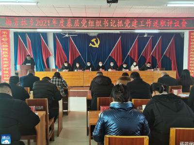 杨芳林乡：述职评议交答卷 压实责任再出发