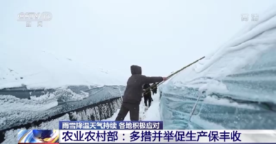 雨雪降温天气持续 各地多措确保“菜篮子”产品稳产保供 