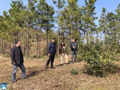 杨芳林乡：积极开展林长制巡林工作