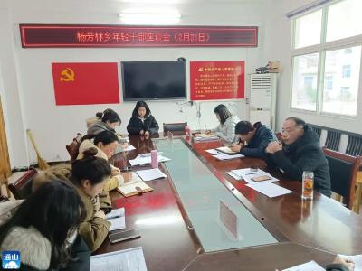 杨芳林乡：召开年轻干部座谈会