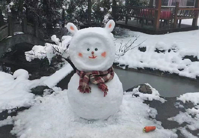 长江云——雪天雪地，雪景雪趣