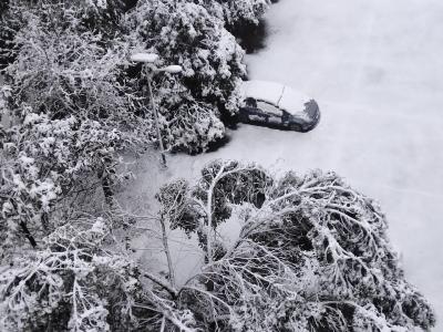 【众志成城抗冰雪】上班第一天遇大雪，注意安全出行！