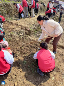 大畈小学：劳动实践入校园  争做时代好少年 