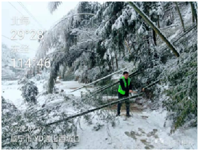 【众志成城抗冰雪】通山铁塔：“虎”力全开  抗冰雪 保通信