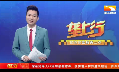 【新春走基层⑫】燕厦乡北冲村：“三生”融合勾勒小康幸福画卷