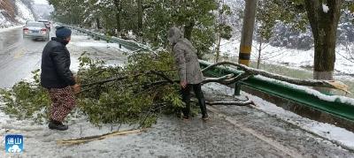 【众志成城抗冰雪】九宫山镇：干群同心 邻里互助 除雪保畅