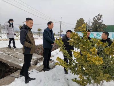 【众志成城抗冰雪】通山农业农村局积极应对冰雪灾害天气