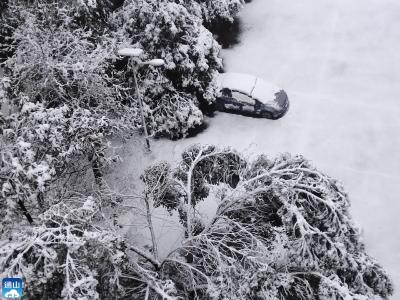 暴雪来袭！这些温馨提示请收好！