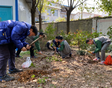 杨芳小学：植树栽花  美化校园