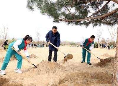 习近平参加首都义务植树活动 