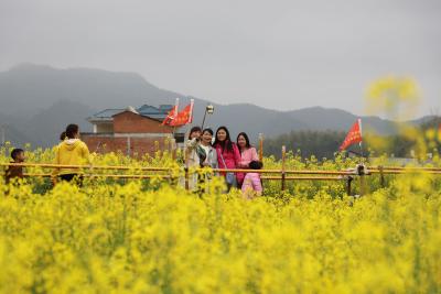 长江云——通山：花海花潮花似锦　芸苔乡野满眼春