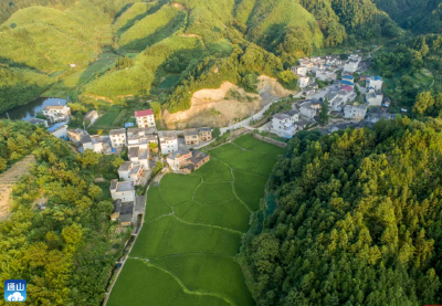 林长制——让“绿水青山”成为通山人的“幸福靠山”