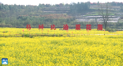 【记者走基层⑱】V视丨大路乡杨狮坑村：倾力打造油菜花乡村旅游名片