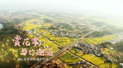 短视频丨赏花季与你邂逅—杨狮坑油菜花海