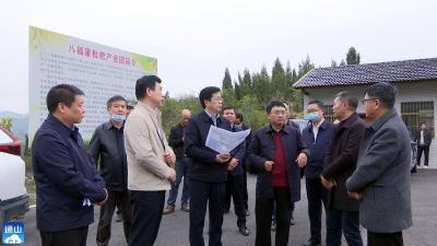 V视丨吴刚来通山县调研督导森林督查和打击毁林行动违法图斑整改销号工作