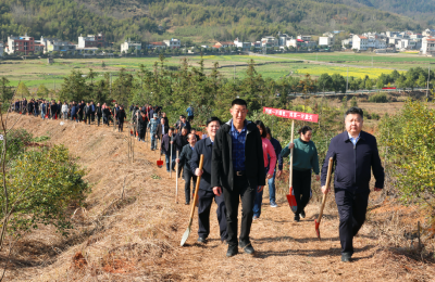 长江云——V视丨植树添新绿！通山：开展2022年春季义务植树活动