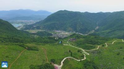 九宫山镇：延长竹产业链 助力乡村振兴