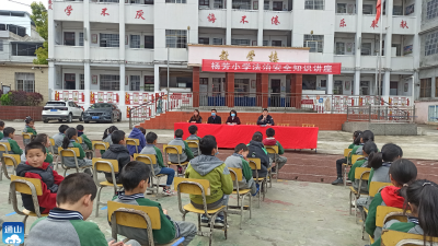杨芳小学：法治进校园 平安伴你行