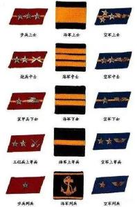 军士，来了！我军“军士”和“士官”军衔都有哪些变化？ 