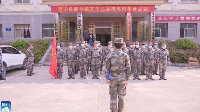 V视丨通羊镇召开基干民兵应急排集合点验观摩会