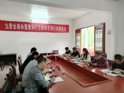 九管会：开展森林督查和打击毁林专项行动
