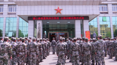 V视丨来承坦到通山点验民兵队伍