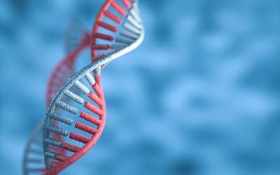 别熬夜了！你身体里时刻都在断裂的DNA，睡够了才能修复好！ 