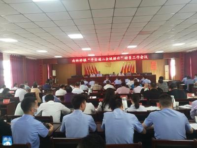 南林桥镇召开“平安咸宁全域提升”活动动员会