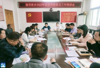 杨芳林乡召开2022年基层党建重点工作推进会