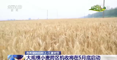三夏时节 我国夏粮大规模机收即将展开  