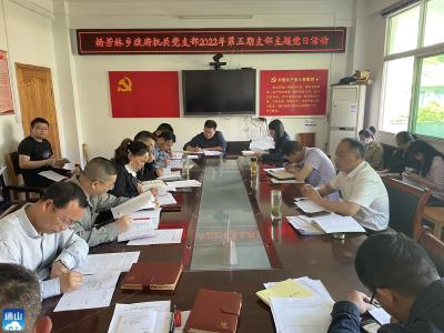 杨芳林乡：开展“学习文件精神 提高思想认识”主题党日活动