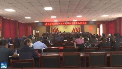 V视丨南林桥镇召开第十一届人民代表大会第二次会议暨人大代表培训会