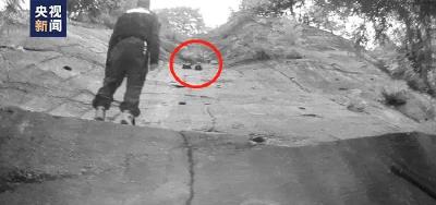 “熊孩子”被困峭壁，警察叔叔用了这招…… 