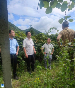 【下基层 察民情 解民忧 暖民心】县乡村振兴局到厦铺镇开展“下基层、察民情、解民忧、暖民心”实践活动